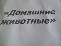 SAM_1547